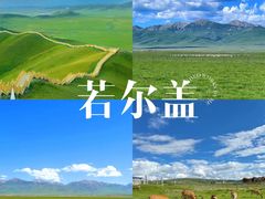 -达瓦更扎
