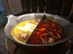 台式麻辣花胶鸡鸳鸯锅-湊湊火锅·茶憩(世博大道店)