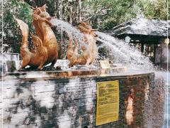 -嘉和K6温泉微度假