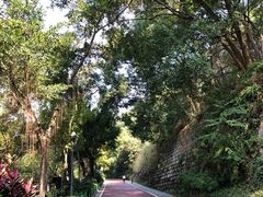 -金鸡山公园