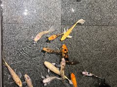 -水立方3号洗浴会馆(曼哈顿店)