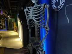 -Moss7Club 剧本杀桌游(inspark店)