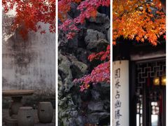 -拙政园