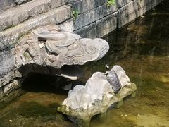 -大觉寺-停车场
