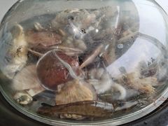 -大锅强·蒸海鲜青岛菜(吾悦广场店)