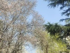 -木塔寺遗址生态公园