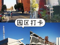 -上海山野camping·户外天幕烧烤·团建拓展营地