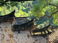 -杨家堂村
