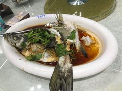 -水上人家河鲜