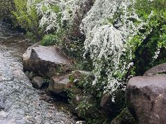 -中国茶叶博物馆(双峰馆区)