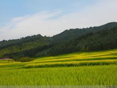 -鹞子沟国家森林公园