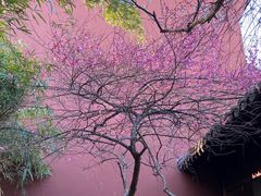 -钱王祠