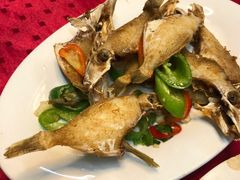 椒盐扒皮鱼-蛇口康乐快餐鱼仔档(翠苑小区店)