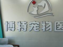 -博特宠物医院24h犬猫全科.骨科·异宠