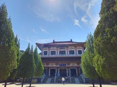 -龙口南山旅游景区
