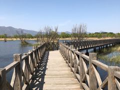 -野鸭湖国家湿地公园