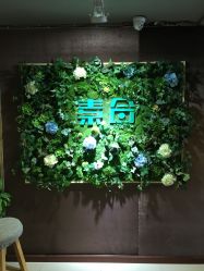 -素合写真摄影(合肥原创店)