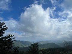 -武陵山森林公园