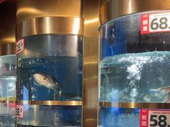 -蜀滋香鲜鱼美蛙火锅(339店)