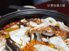 -菌之家·专业纯野生菌火锅·特色炒菌
