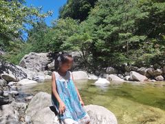 -青峰峡国家森林公园