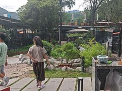 -蘇河湾·新鲁菜·泰山宴(泰山店)