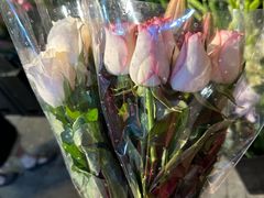 -循礼门鲜花花市(武汉循礼门店)