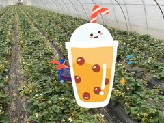 -小鱼草莓采摘园农家乐·小鱼餐厅