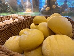 -北京园博大酒店