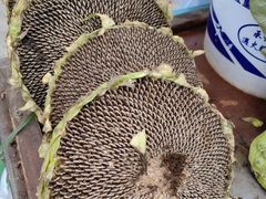 -北沙滩(地铁站)