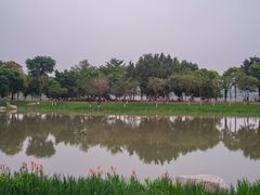 -海珠湖公园