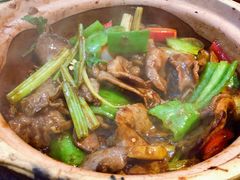 -天宝食坊·啫啫煲大排档(西华路店)