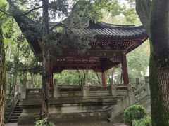 -汇龙潭