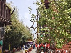 -呀路古热带植物园