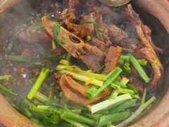 -霞姐屯昌枫木香草鸭店(海螺店)