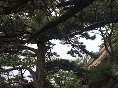 -罗田天堂寨风景区