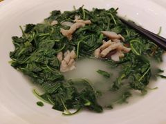 上汤枸杞叶-百鱼庄(仙葫店)