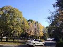 -胜华驾校·小猫学车(银都店)