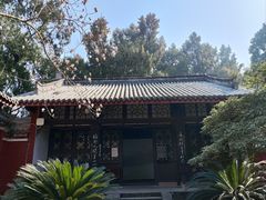 -子昂故里文化旅游区