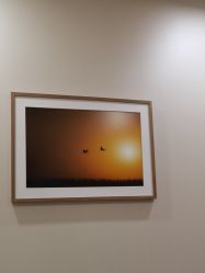 -北京米扬丽格医疗美容·联合丽格鼻整形中心