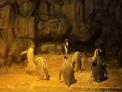 -香港海洋公园