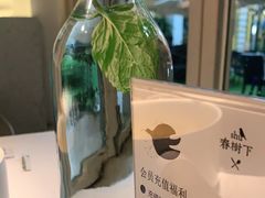 -春树下·树屋花房西餐厅(罍街AS1980店)