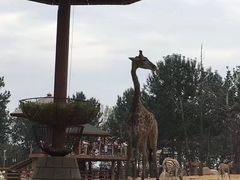 -大连森林动物园