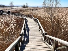 -野鸭湖国家湿地公园