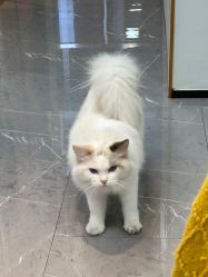 -元一肌肤管理中心