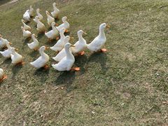 -Club Med地中海俱乐部·桂林度假村