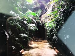 -龙达温泉生态城