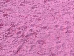 -上海杨姆庄园