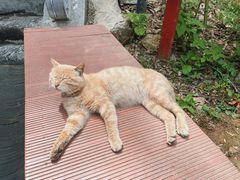 -终南山南五台景区