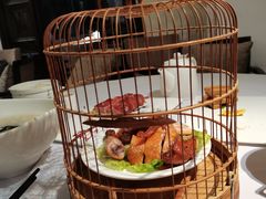 捉妖鸡-八分饱·西津会(西津渡店)